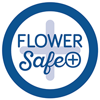 logo flower safe plus