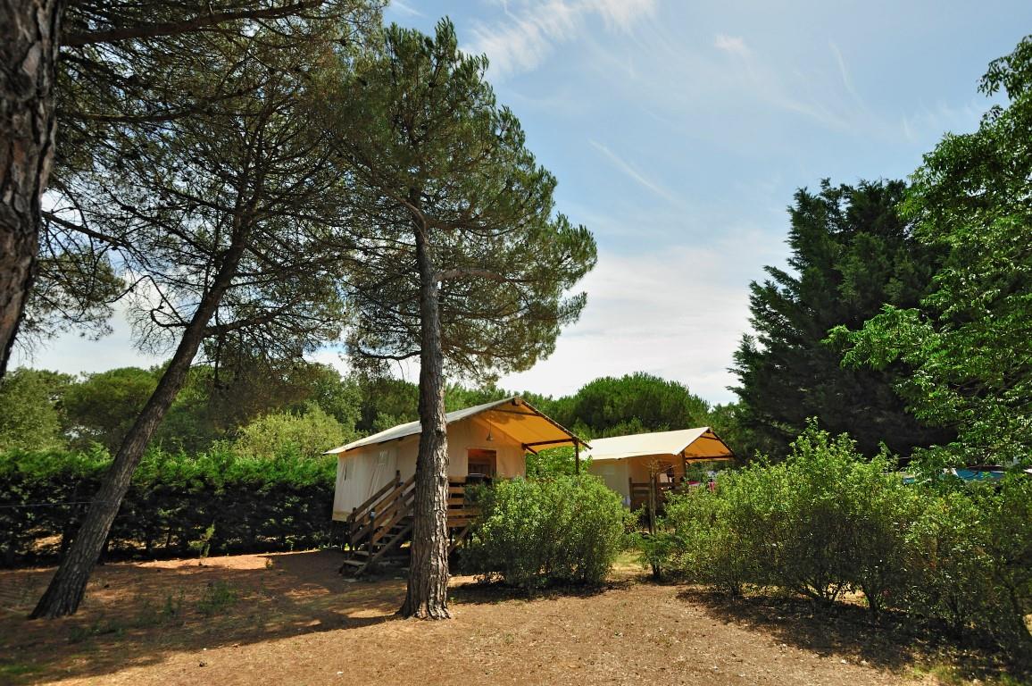 Cabane Lodge Standard sur pilotis 34m² – 2 chambres – terrasse couverte de 10m²